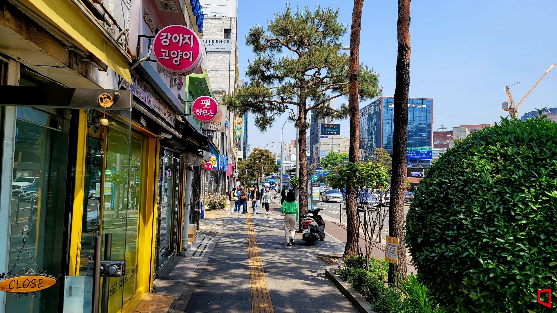 기사이미지