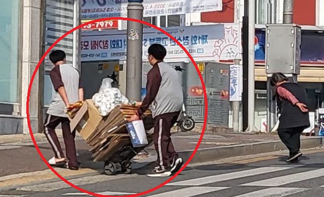 기사이미지
