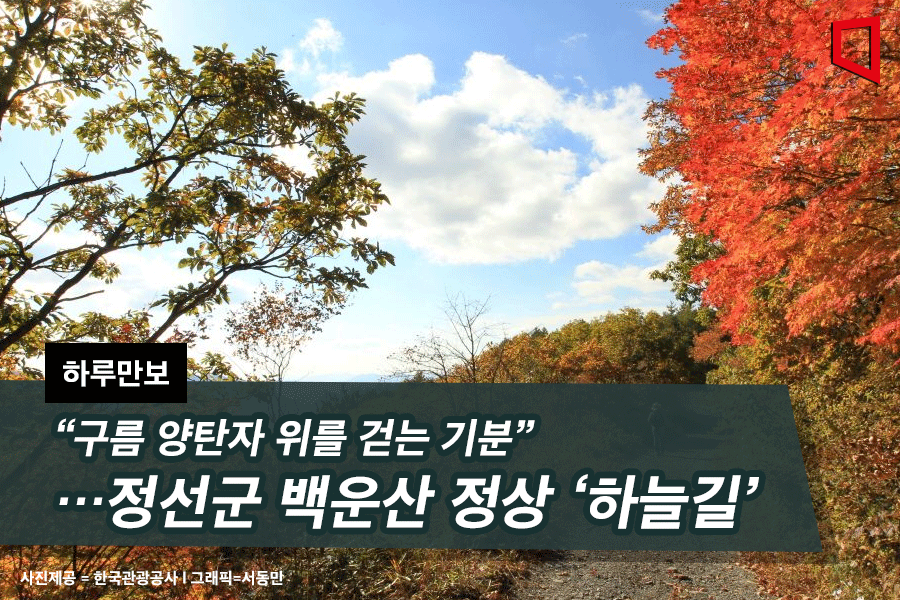 기사이미지