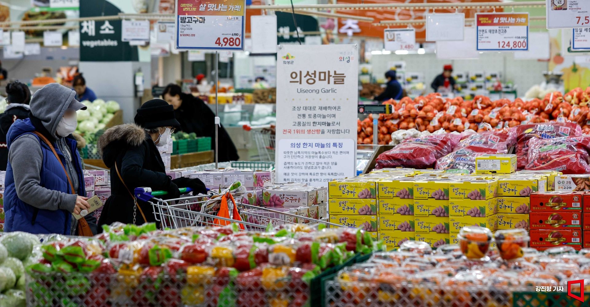 기사이미지