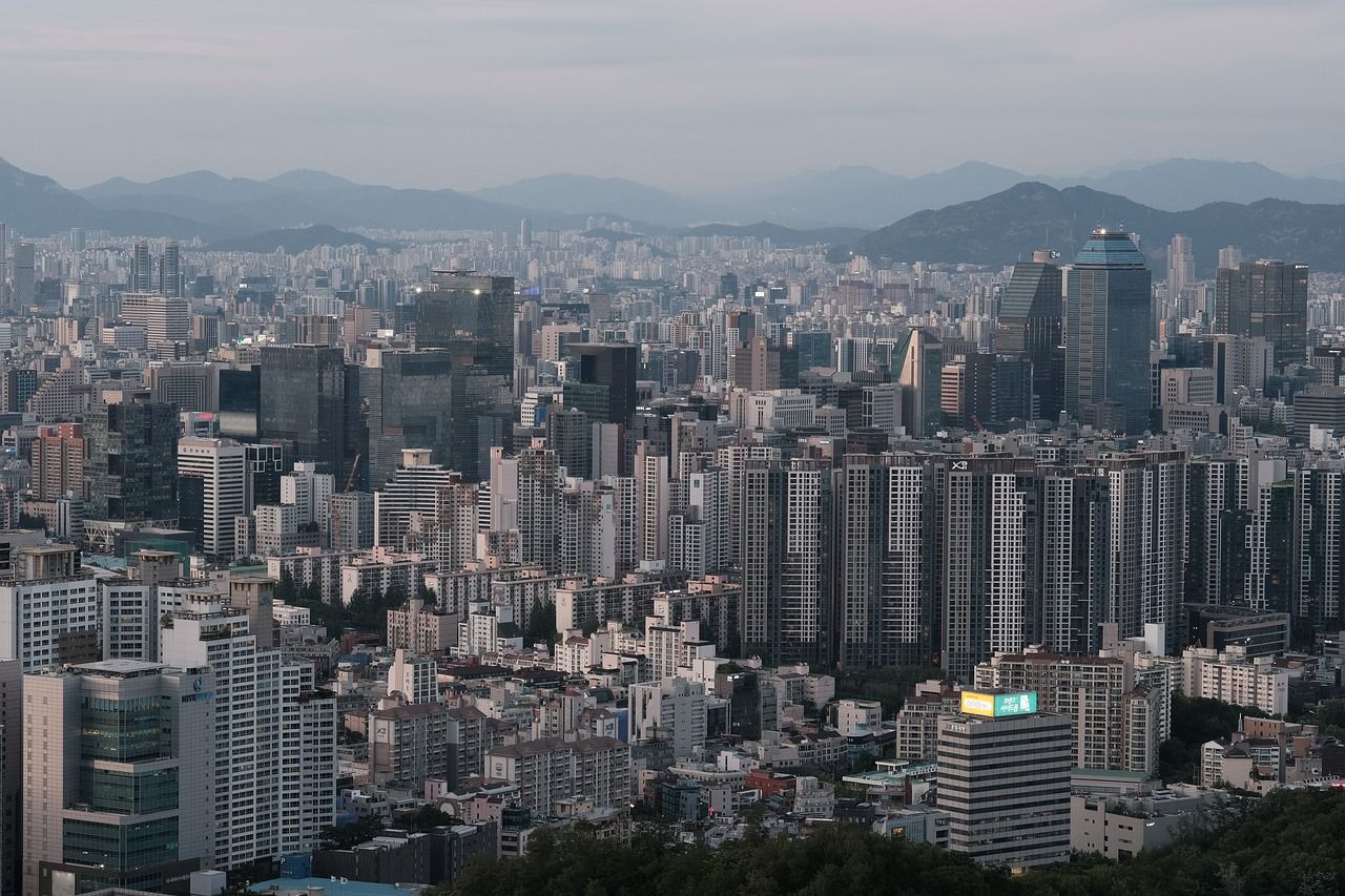기사이미지