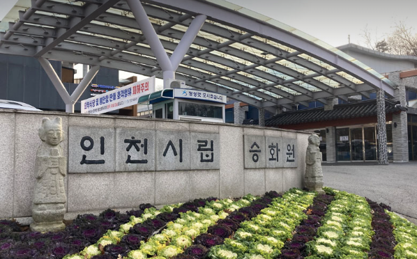 기사이미지