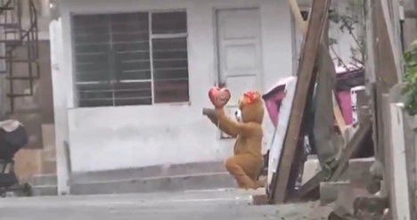 기사이미지