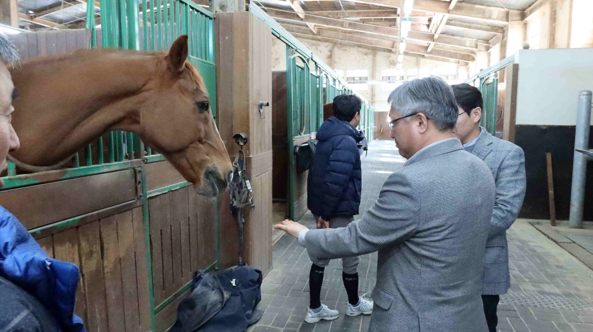 기사이미지