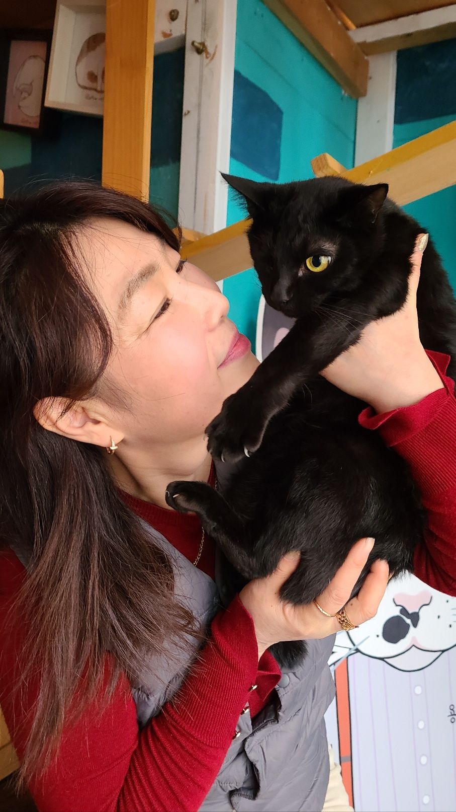 기사이미지