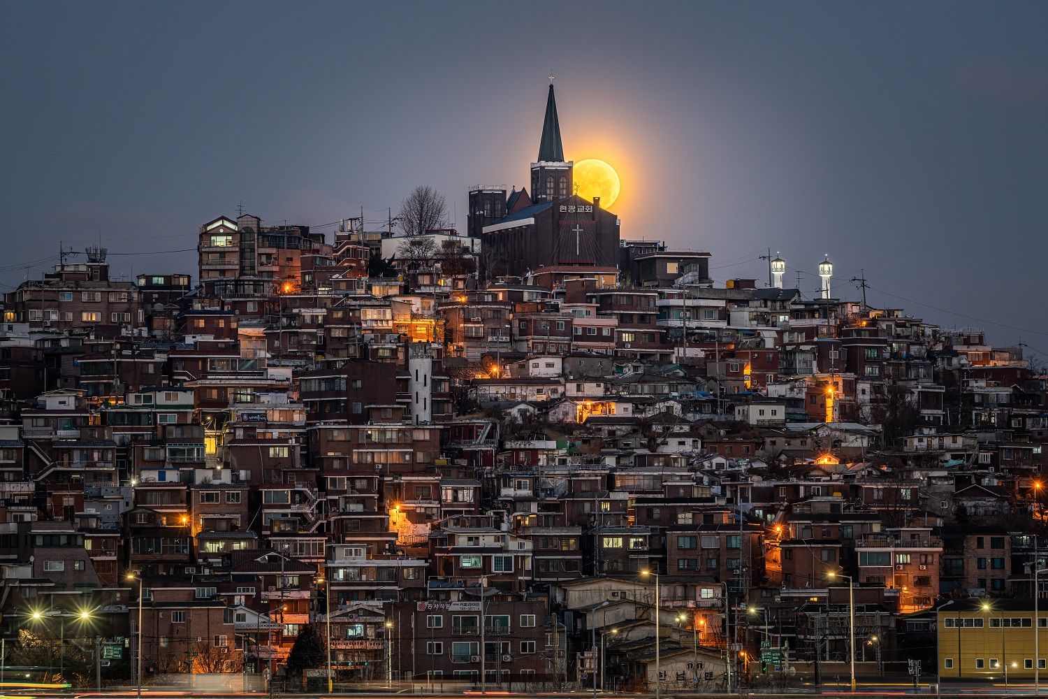 기사이미지