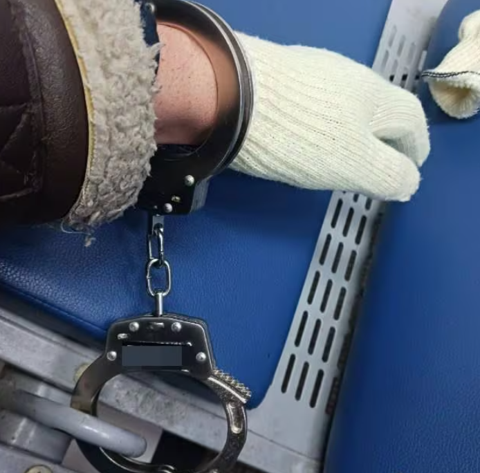 기사이미지