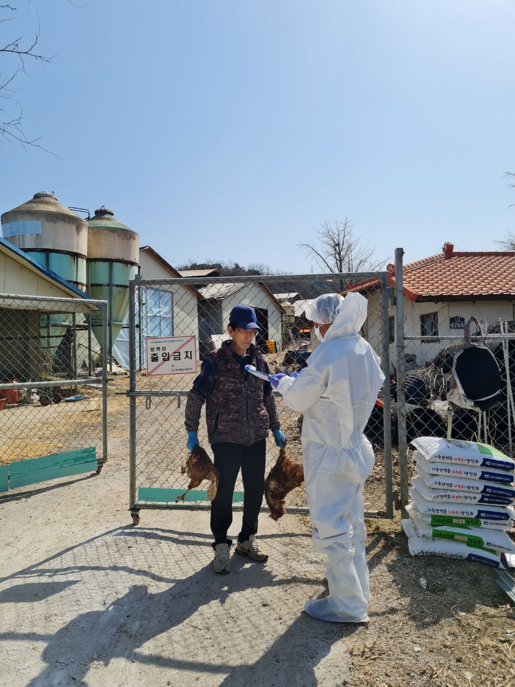 기사이미지