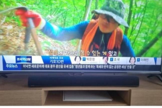 기사이미지