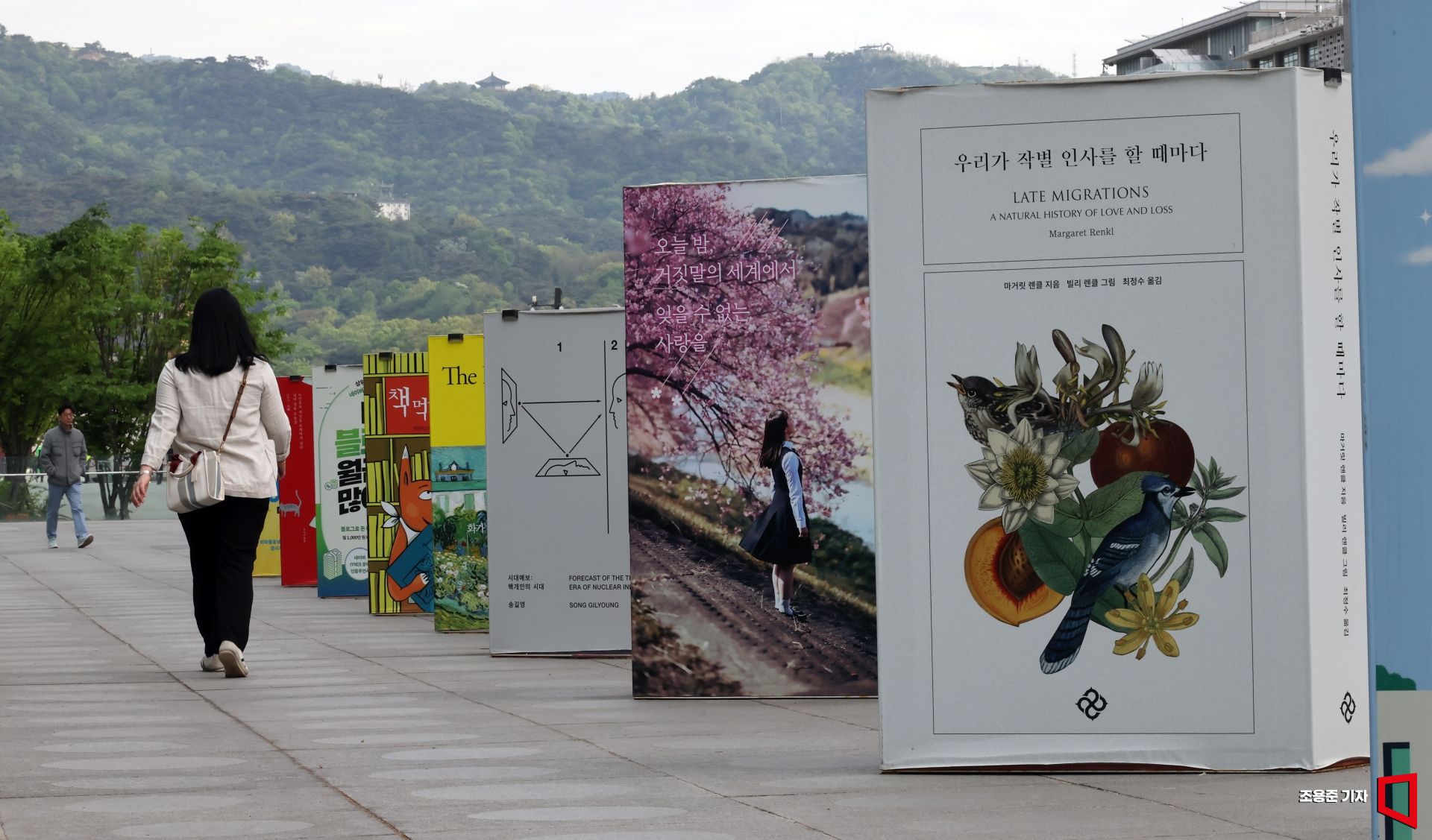 기사이미지