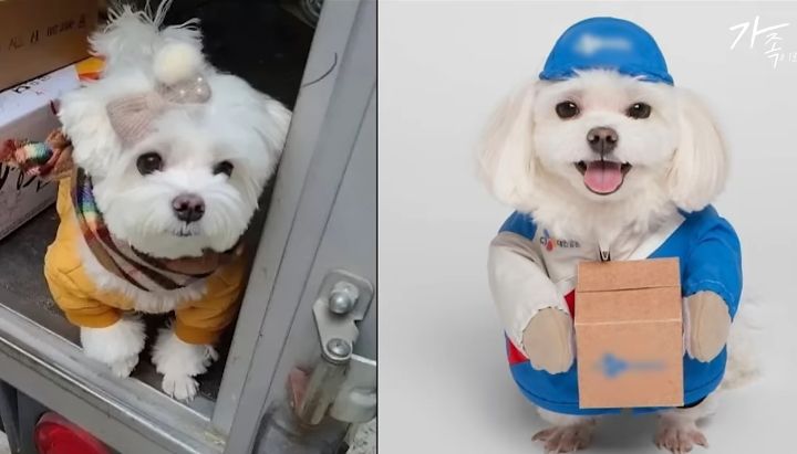 기사이미지