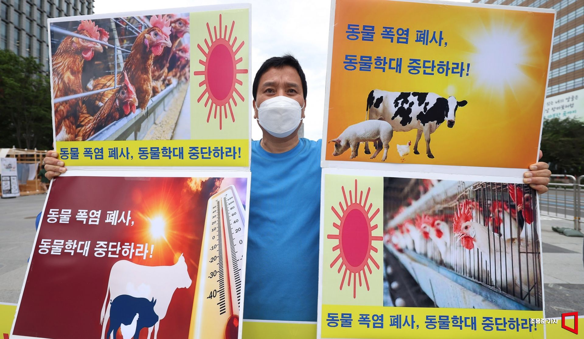 기사이미지
