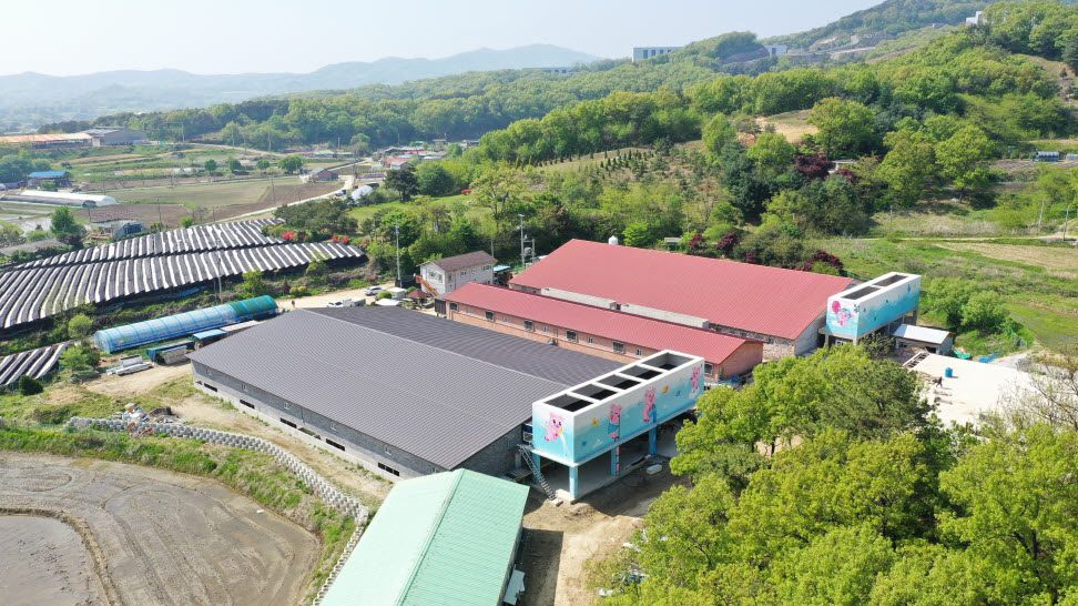 기사이미지