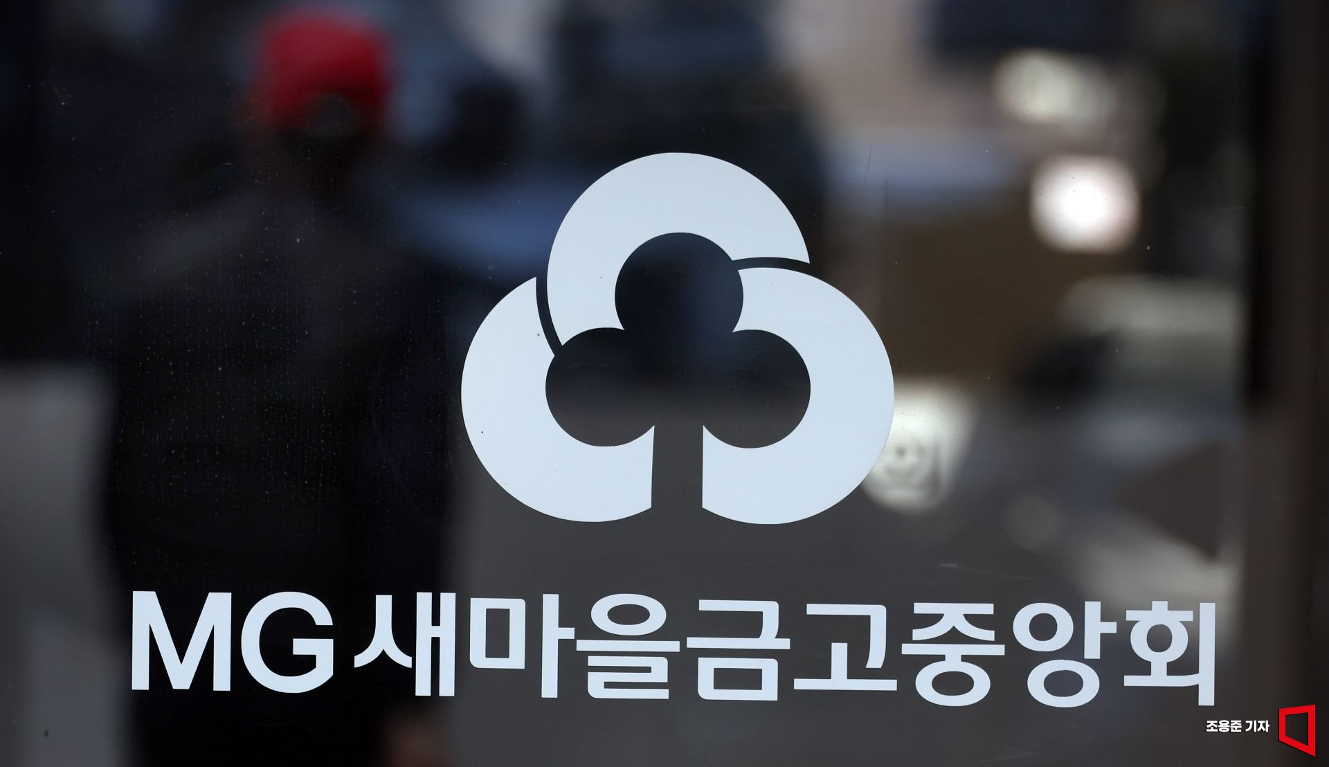 기사이미지