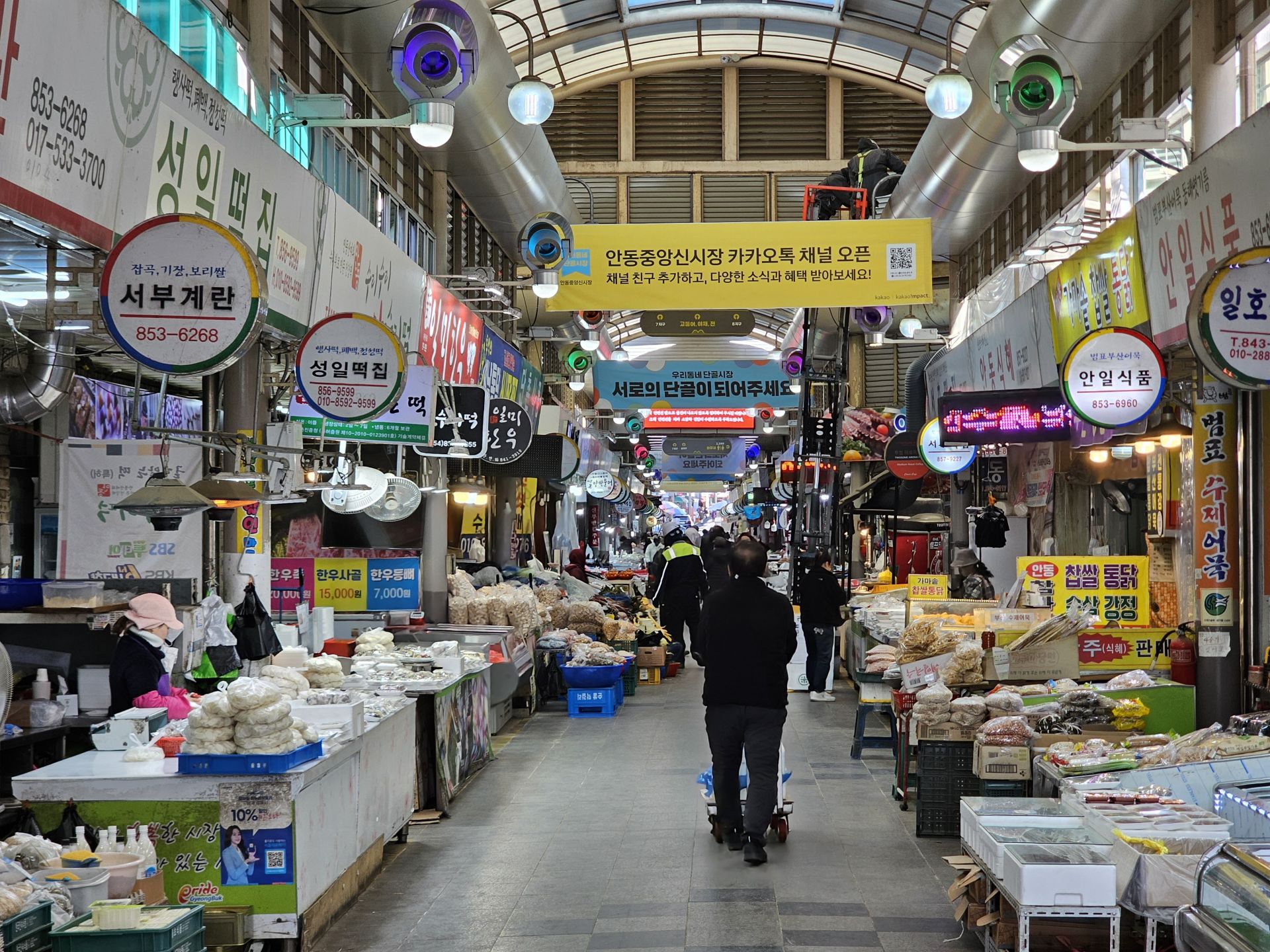 기사이미지