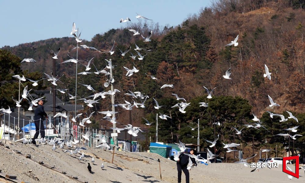 기사이미지