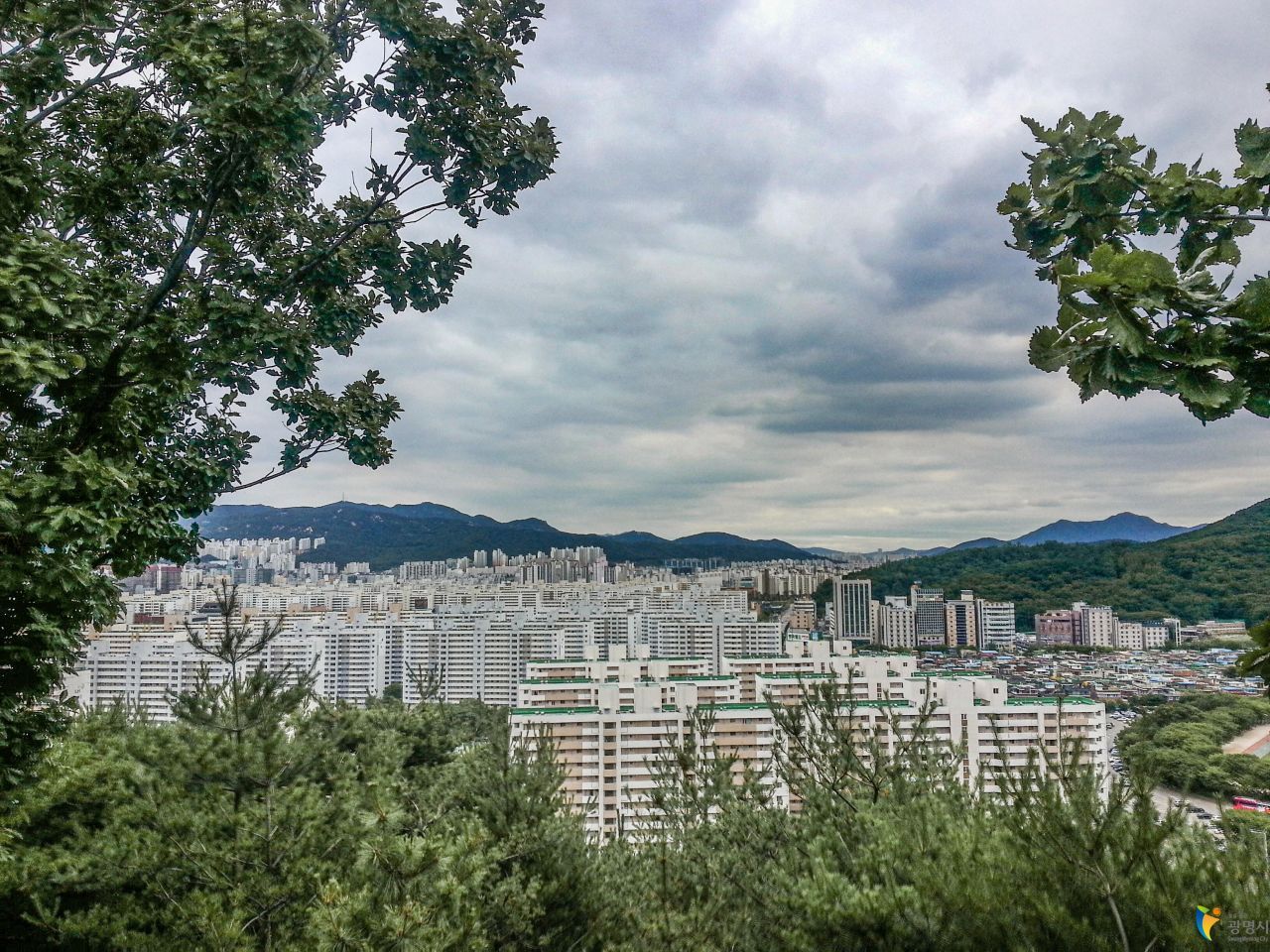 기사이미지
