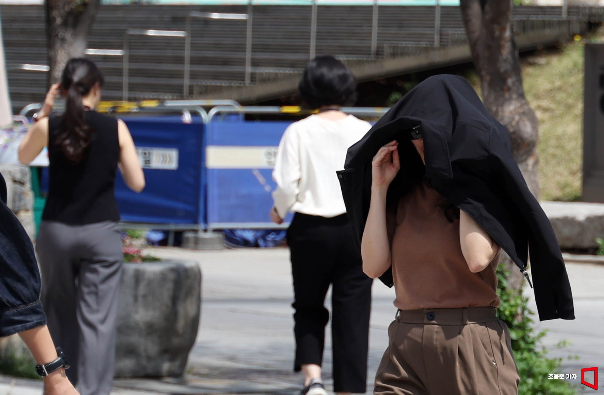 기사이미지