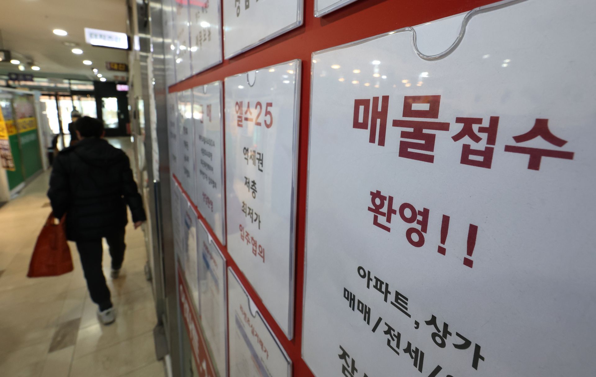 기사이미지