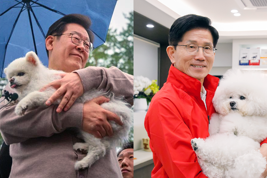 기사이미지
