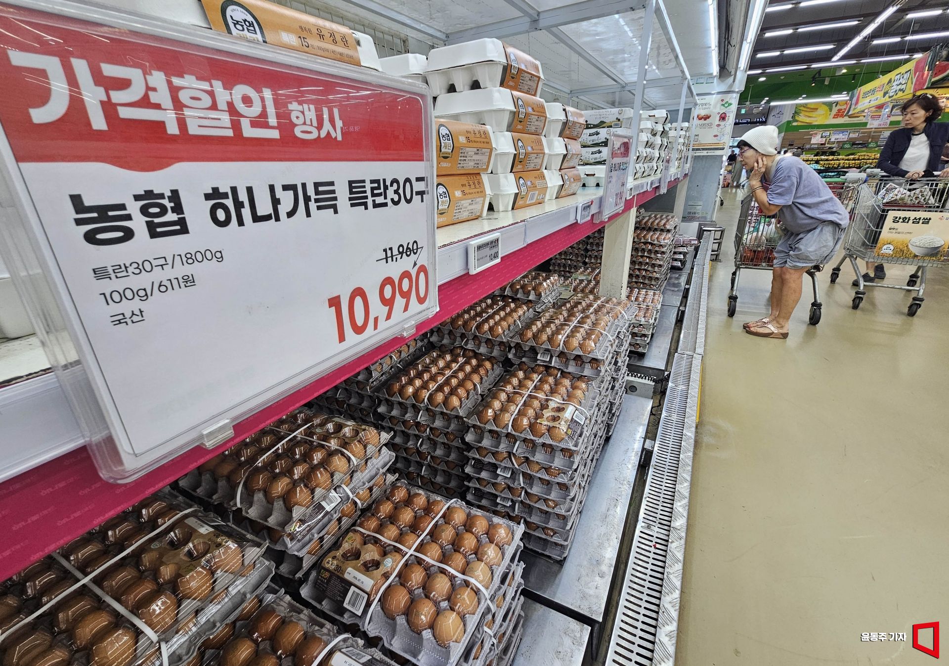 기사이미지