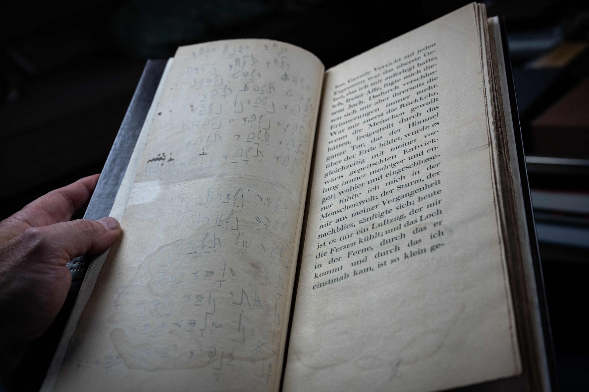 1919년에 출간된 단편 《학술원에 보내는 보고서》 라는 이 책에는