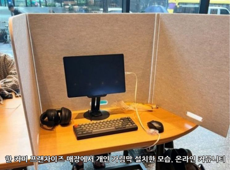 카공족의 민폐 사례를 전하는 기사는 2018년부터 폭증했고, 2023년 절정에 달했다.