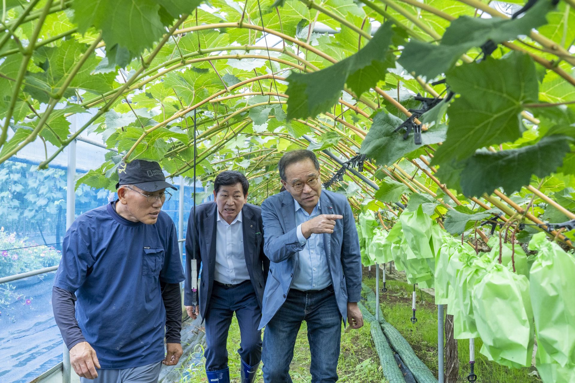 기사이미지