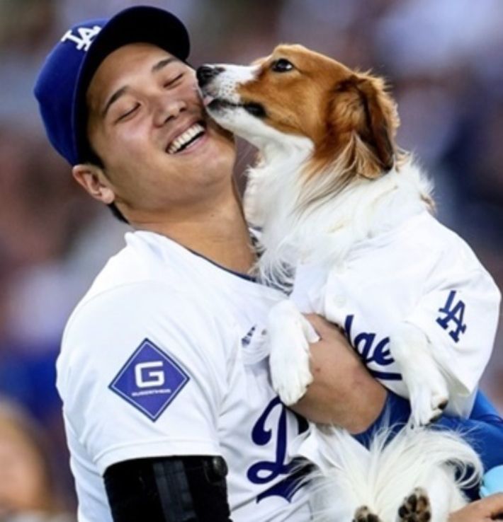 MLB닷컴은 18일(한국시간) "오타니는 야구 기록을 다시 쓰는 것으로는 만족을 못 하는 것 같다"면서 "그가 자신의 반려견을 주인공으로 동화를 집필했다"고 전했다.