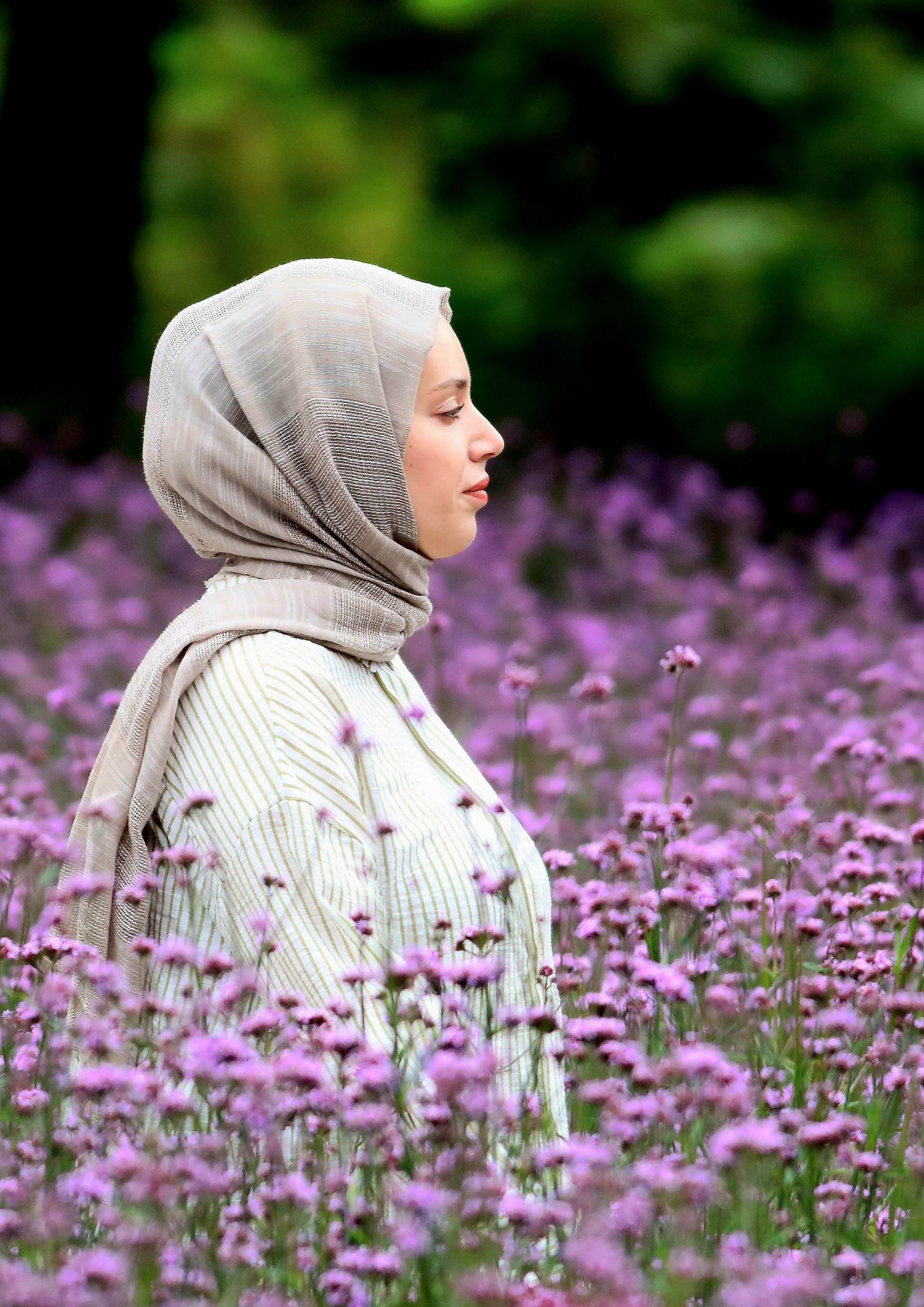 At the "Inje Autumn Flower Festival" held in Inje County, Gangwon Province, foreign tourists are walking along the flower path, creating memories. Photo by Yonhap News Agency