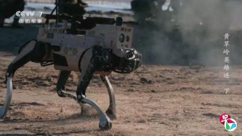 9월 中열병식 등장한 '늑대로봇' 상륙부대 훈련에 처음 투입