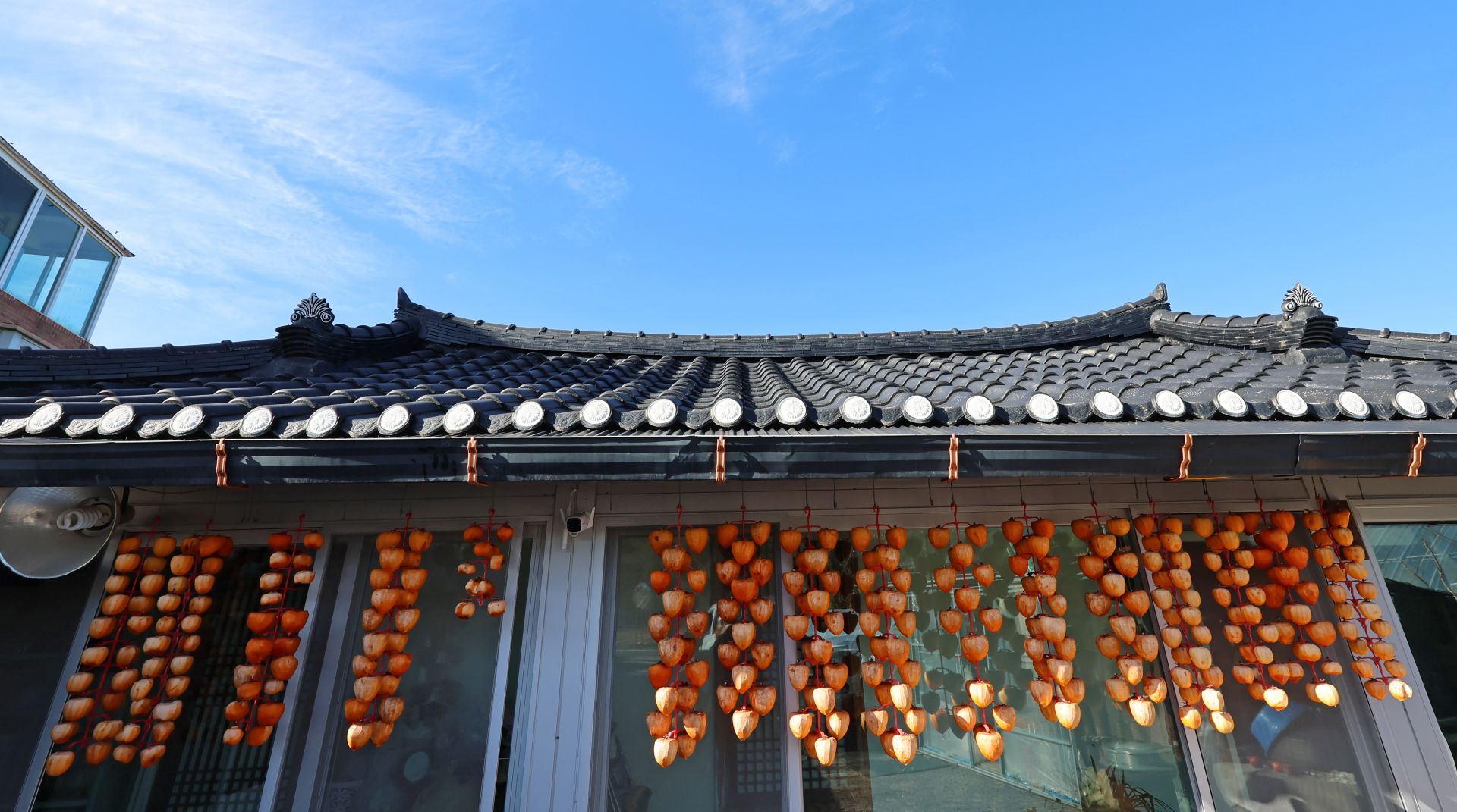 In a farmhouse under the eaves in Gujeong-myeon, Gangneung-si, Gangwon, dried persimmons are ripening deliciously.