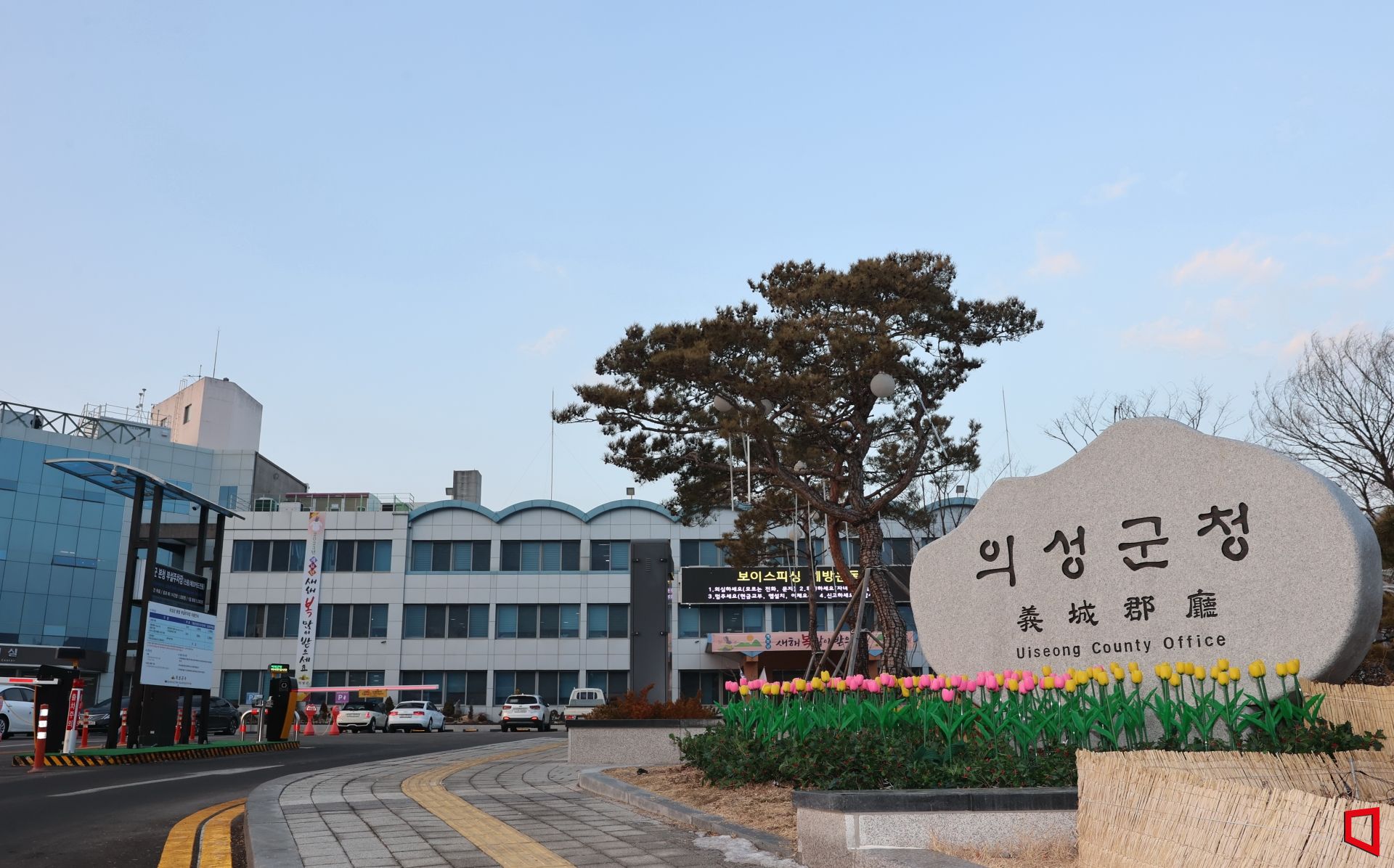 기사이미지