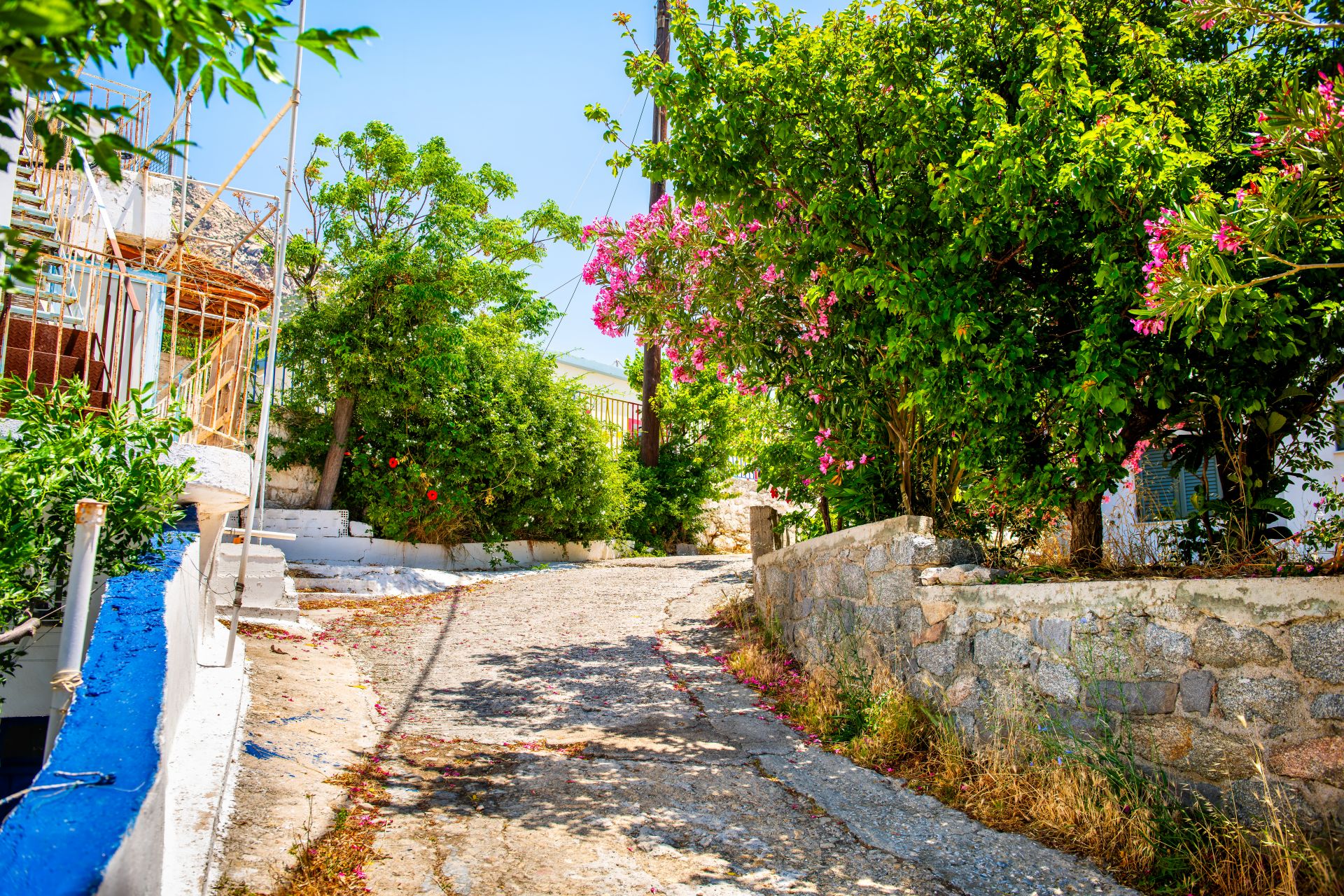 게티이미지뱅크