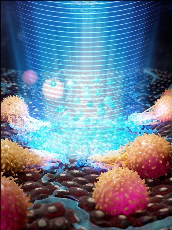 Advanced Materials back cover 이미지. Advanced Materials 제공