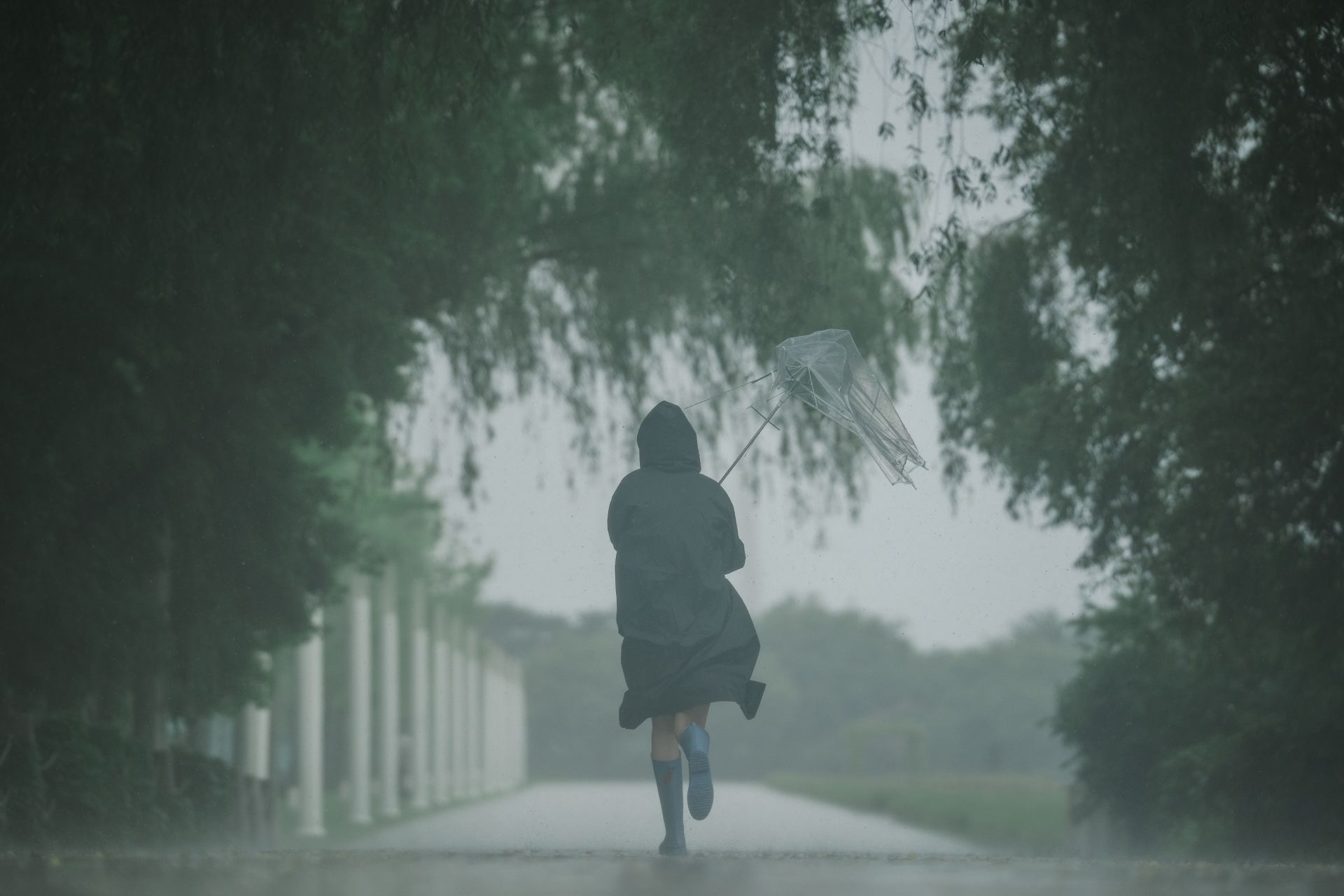   "2026 rainy season period revealed""Record-breaking rainy season forecast""Rain throughout the month"  Korea Meteorological Administration: "Record-breaking rainy season forecast is fake news"  Past 30-year average data mistaken for a definitive forecast Photo by Getty Images Bank