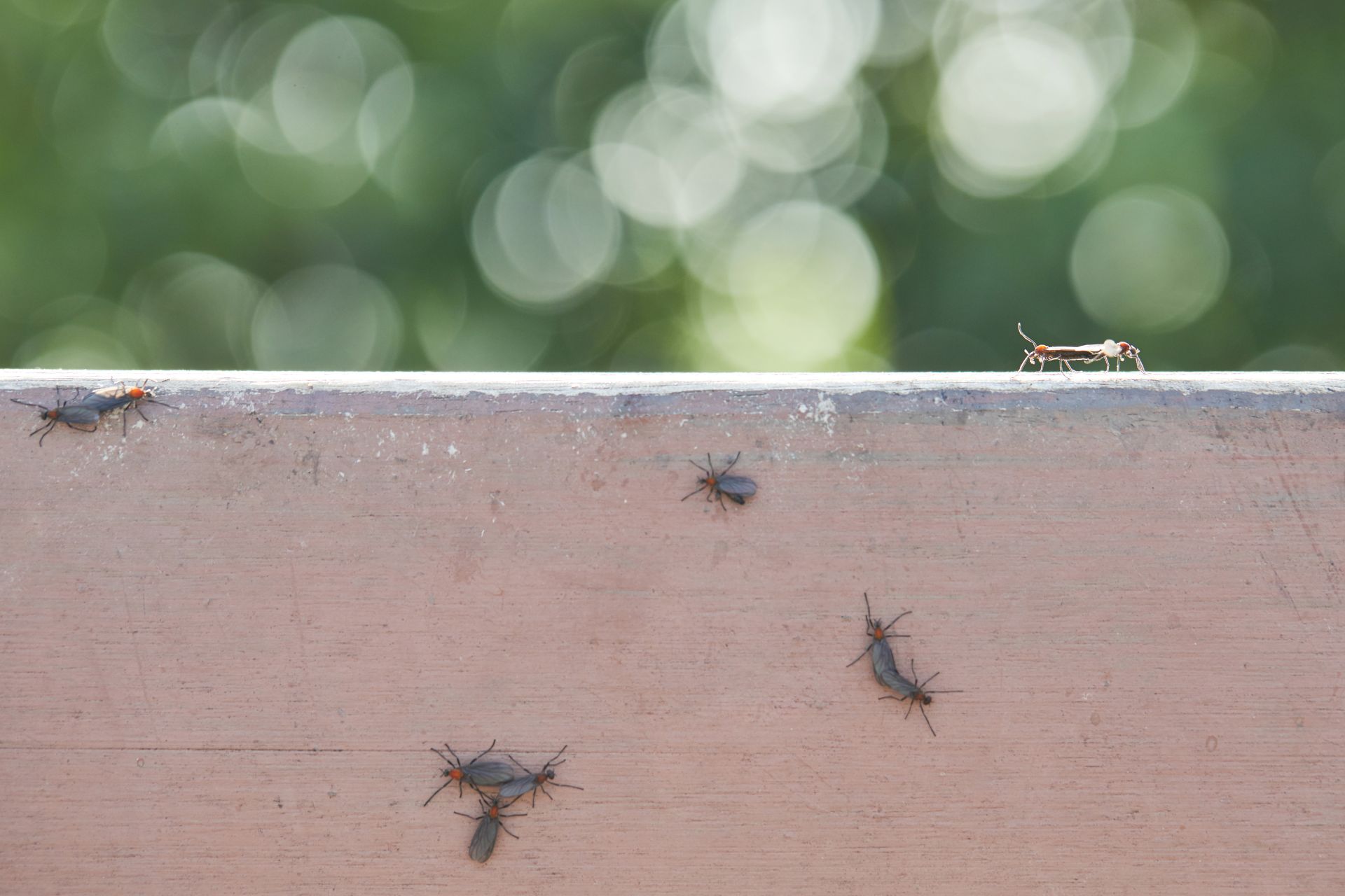 사진=게티이미지뱅크