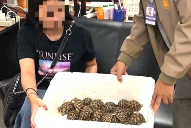 기사이미지